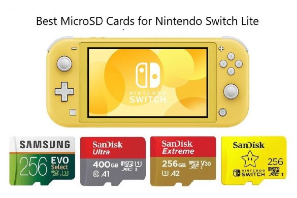 Nintendo Switch Lite Micro Card