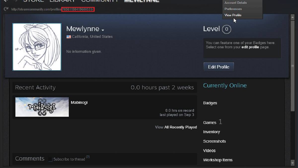 Where does Steam Store Screenshot – Creating, Findings, Steps and More