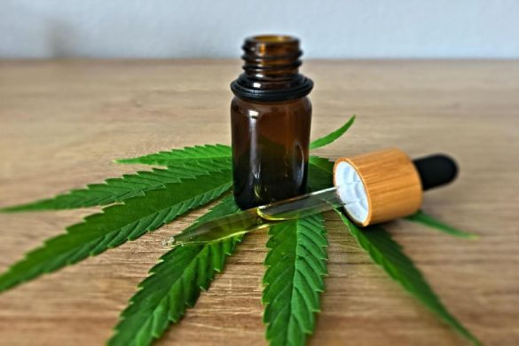 Wholesale Full Spectrum CBD Oil Venture - The truth is: CBD is now everywhere and is expected to still flourish in the next few years.
