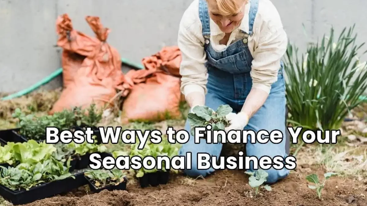 The Finest Methods for Funding Your Seasonal Company