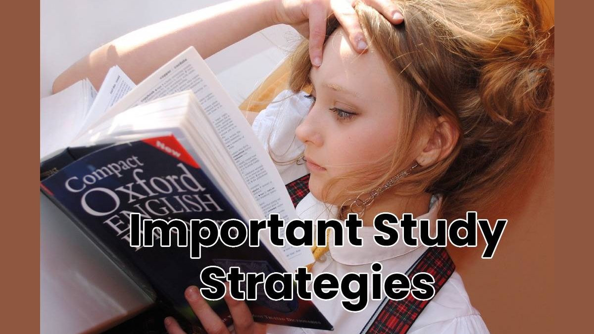 Important Study Strategies