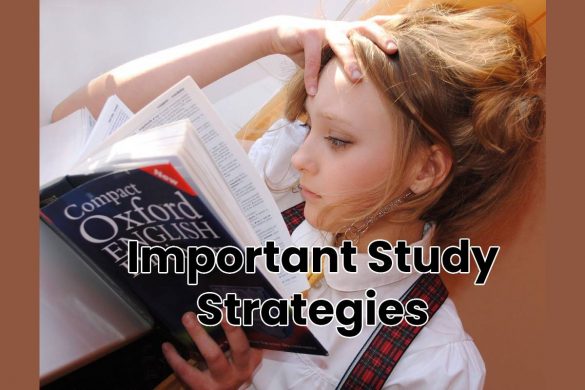 Important Study Strategies