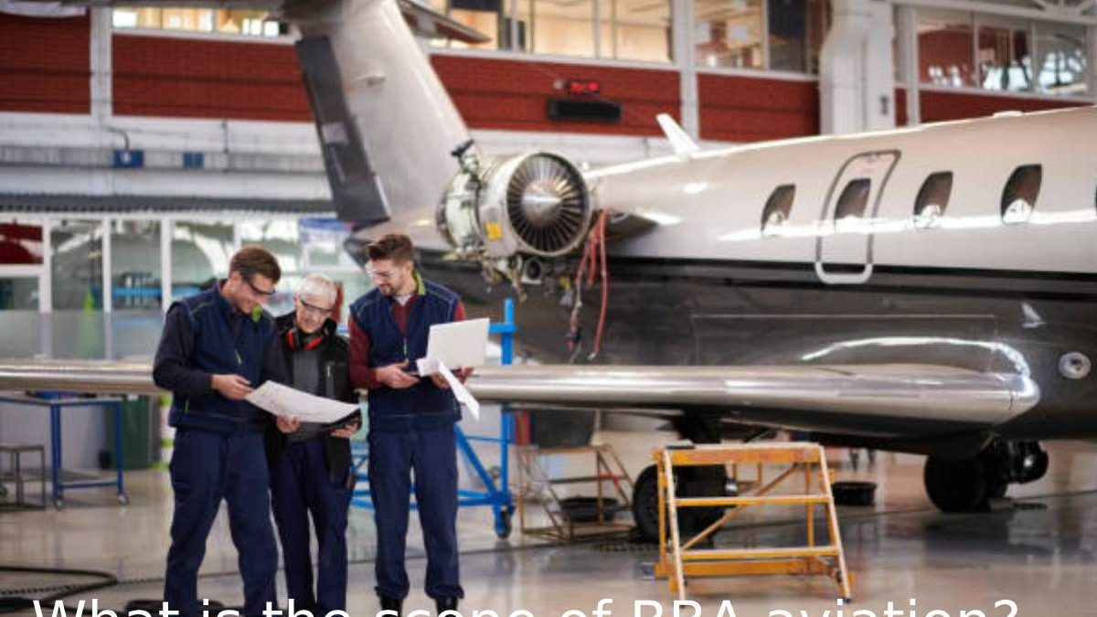 What is the scope of BBA aviation?