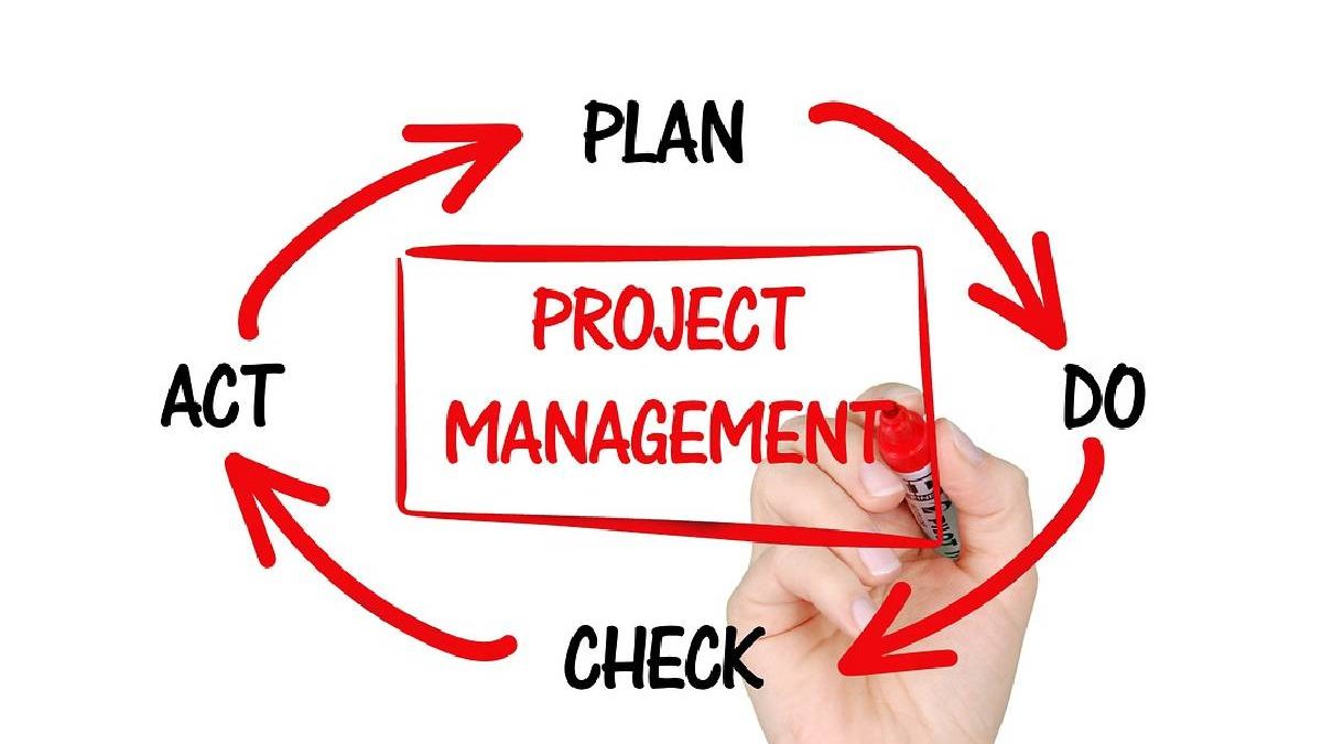 A Beginner’s Guide to the Best Software for Project Management