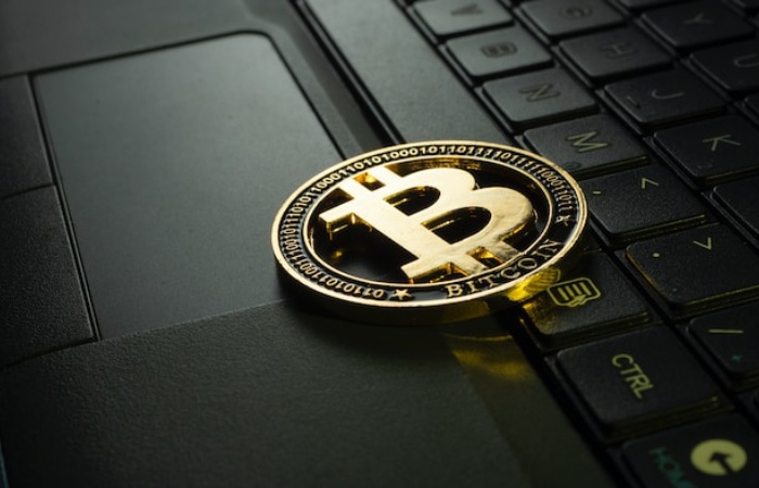 The Genesis of Cryptonewzhub.com Computer