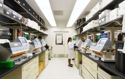Unveiling Plasmid Diversity and Functionality