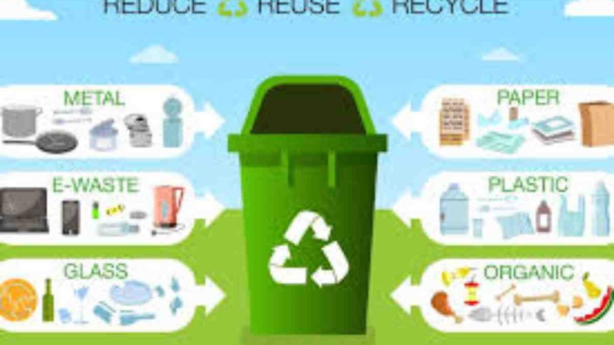 All You Need to Understand About Trash Removal