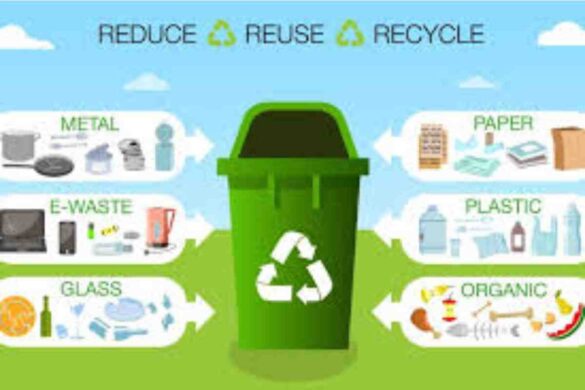 All You Need to Understand About Trash Removal