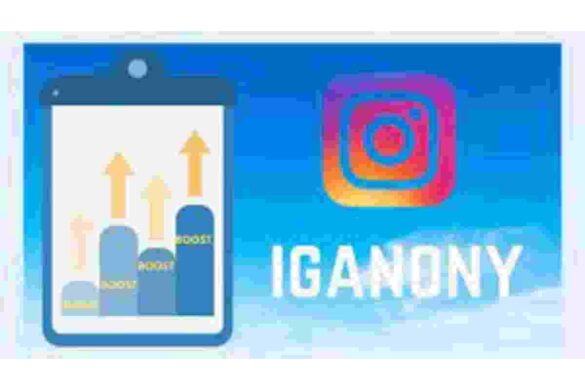 IgAnony_ Instagram Story Viewer