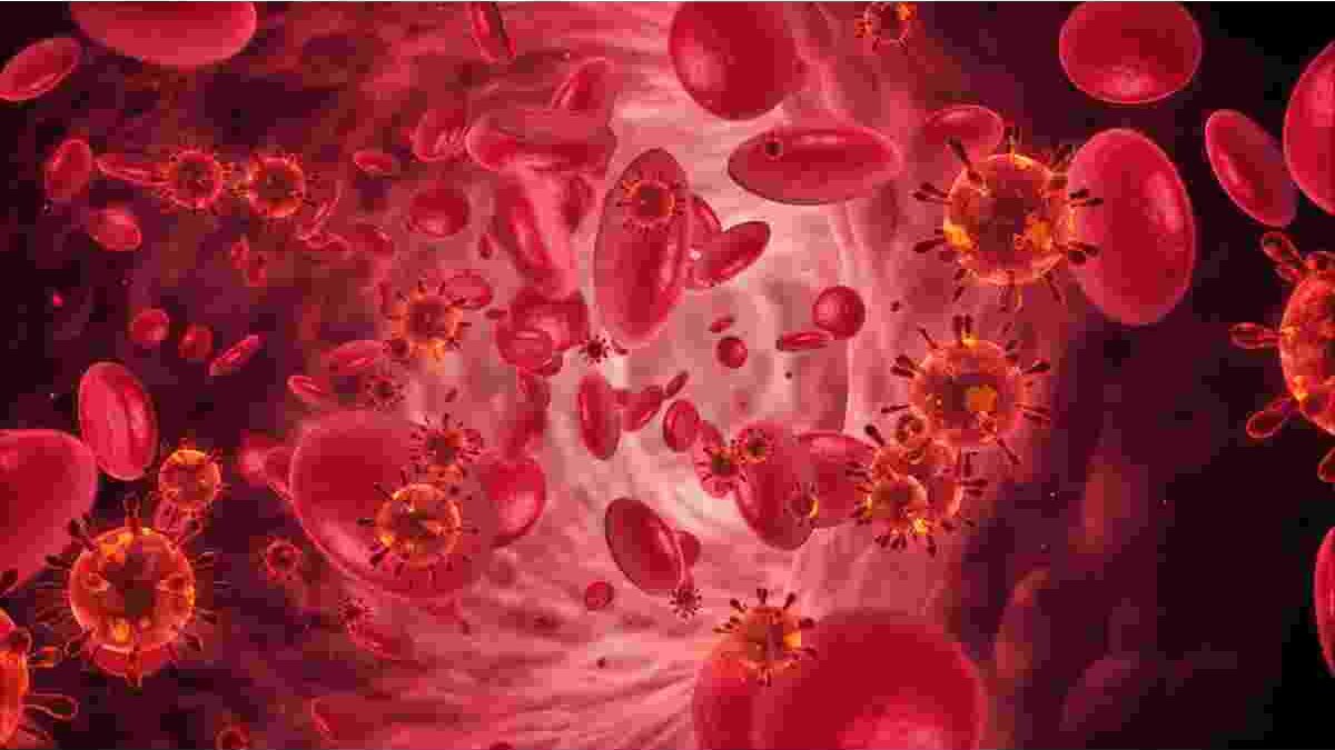 Bloodborne Pathogens Yellow Fever
