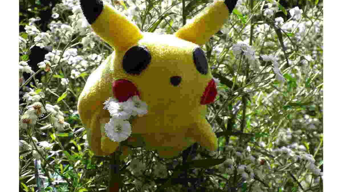 How to Get an Invite Pokemon Go Mewtwo
